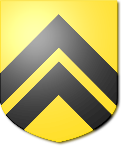 Shield image