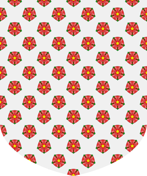 Shield image