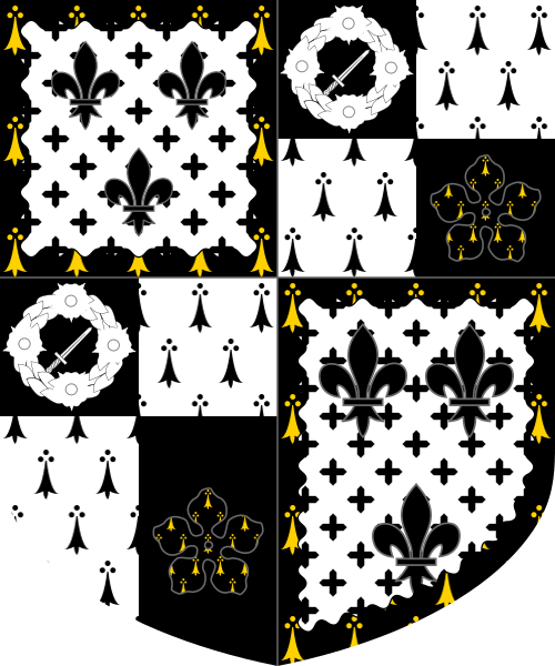 Shield image