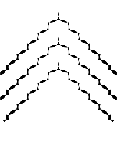 Shield image