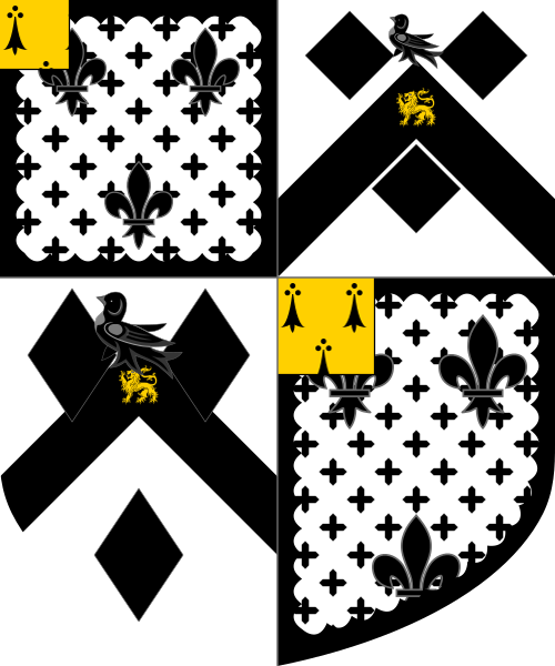 Shield image
