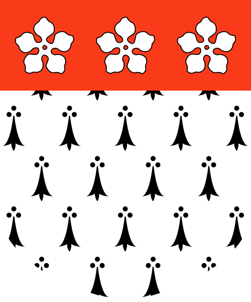 Shield image