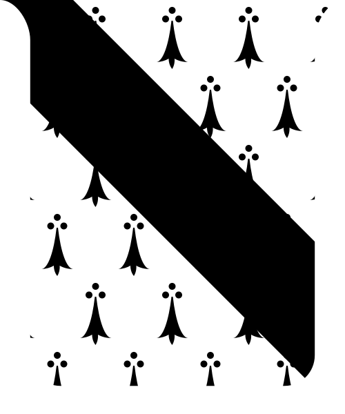 Shield image