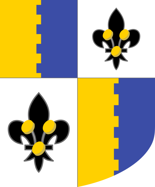 Shield image