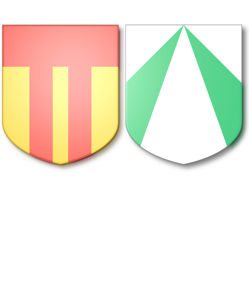 Shield image
