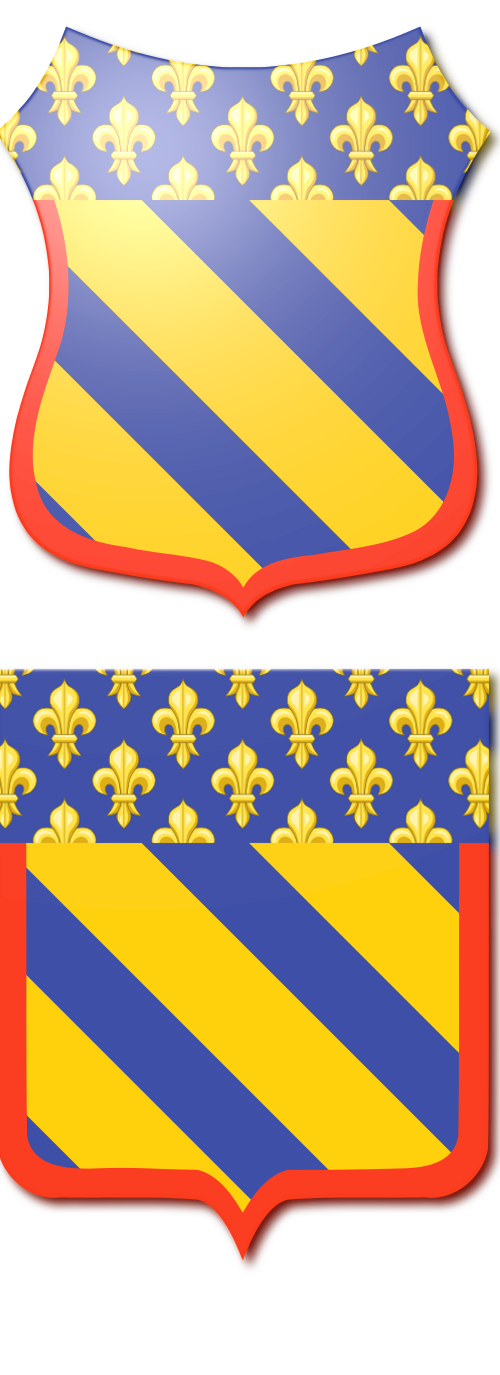 Shield image