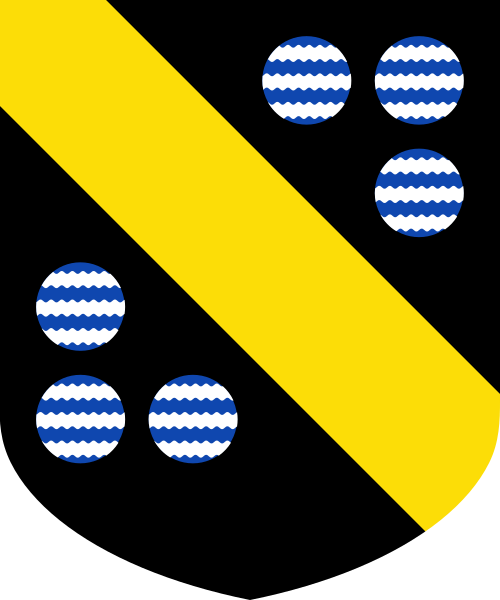 Shield image