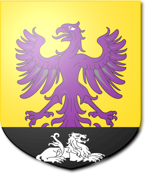 Shield image
