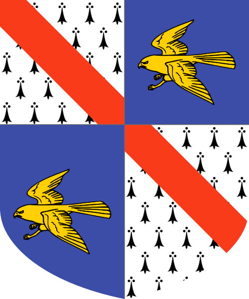 Shield image