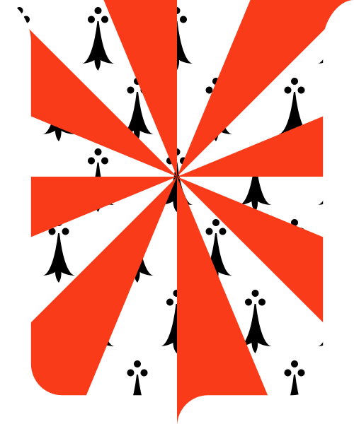 Shield image