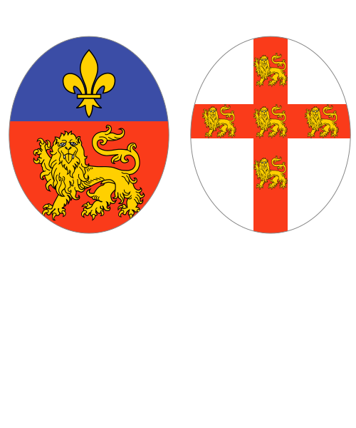 Shield image
