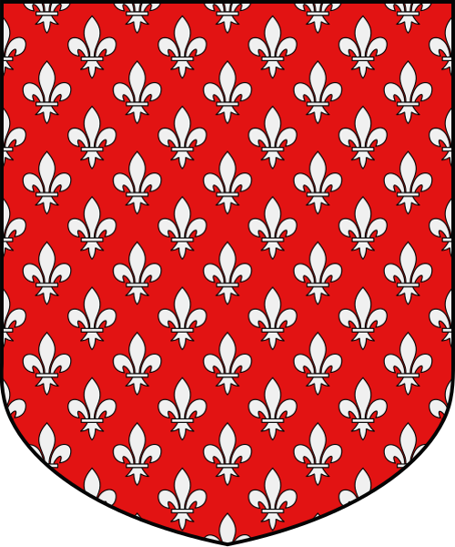 Shield image