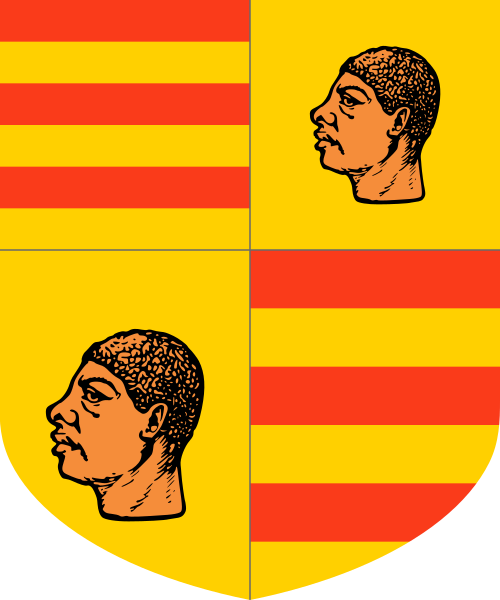 Shield image