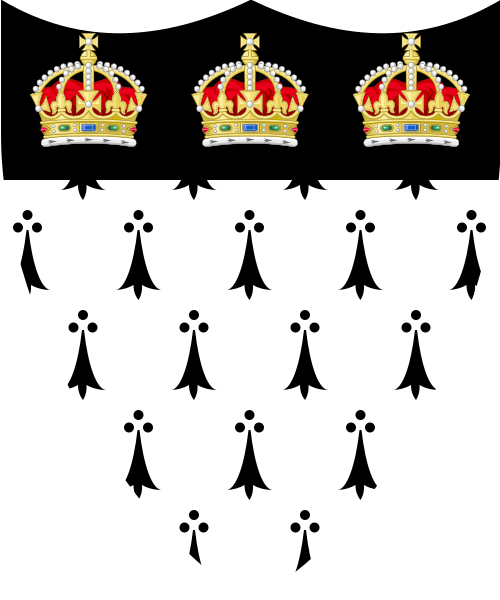 Shield image