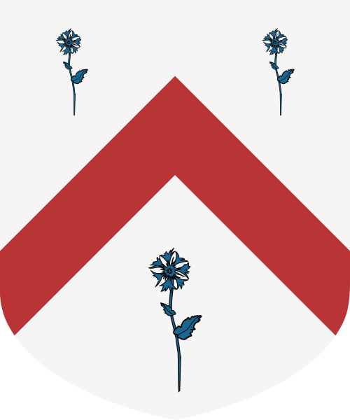 Shield image