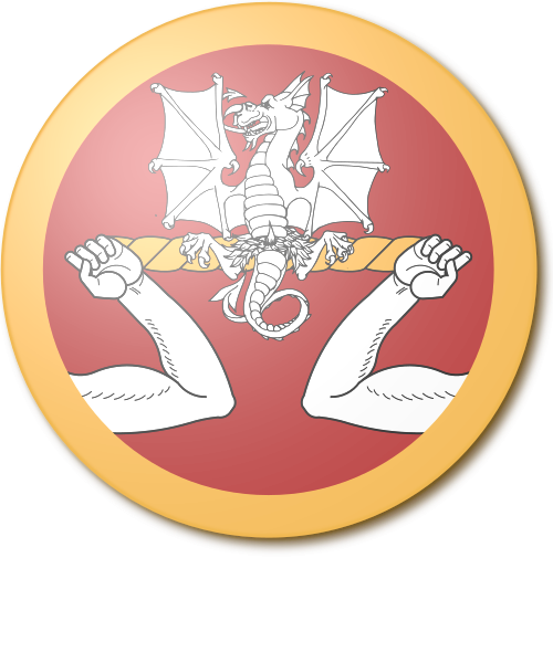 Shield image