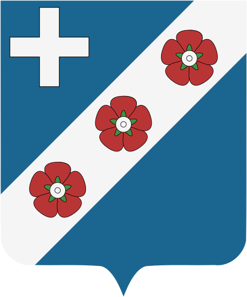 Shield image