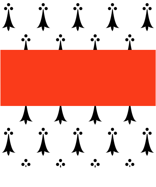 Shield image
