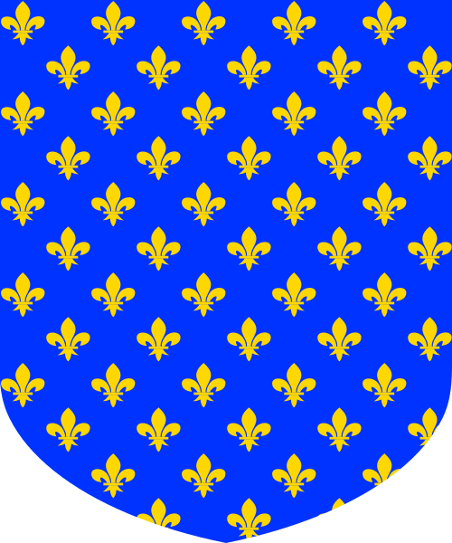 Shield image