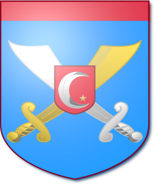 Shield image