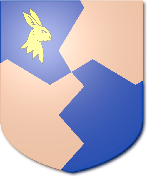 Shield image