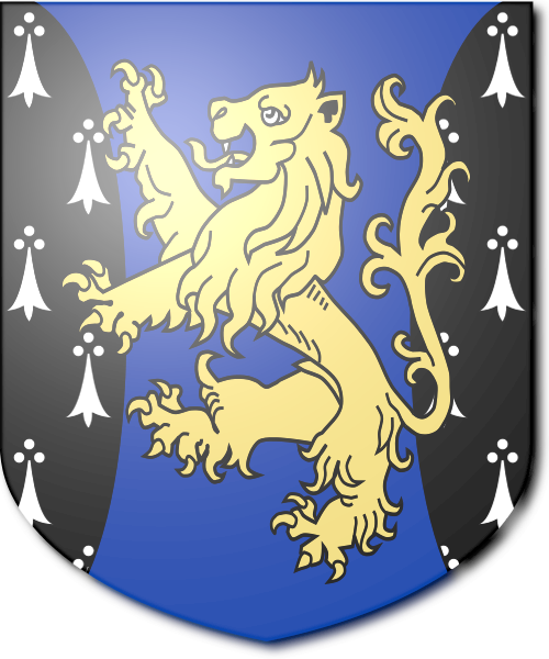 Shield image