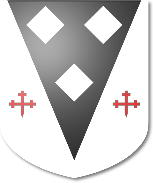 Shield image