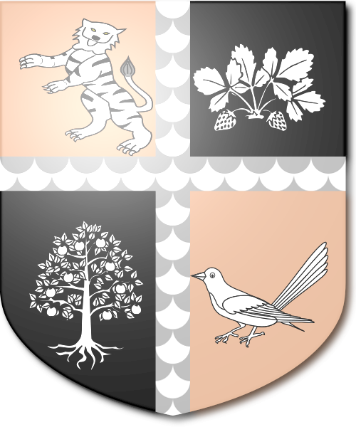 Shield image