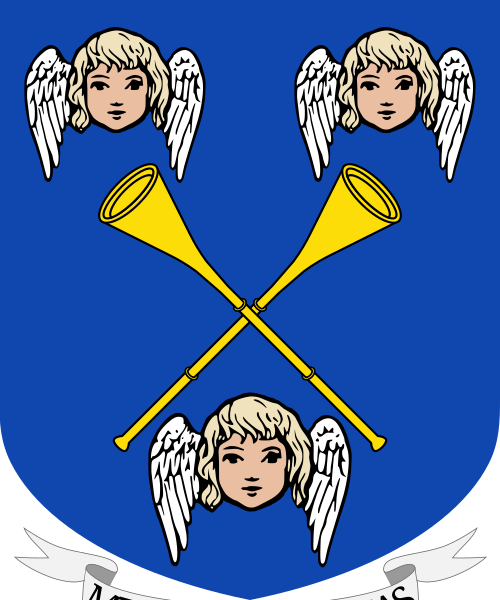 Shield image