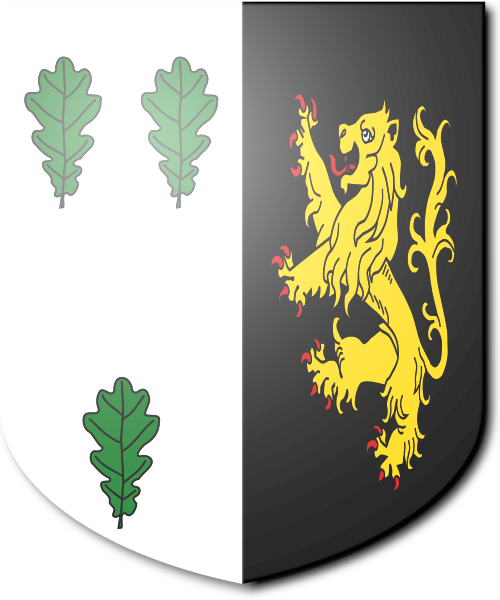 Shield image