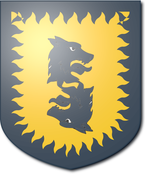 Shield image