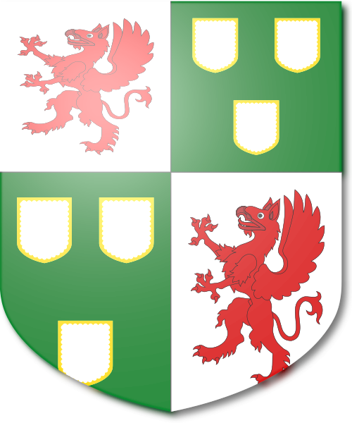 Shield image