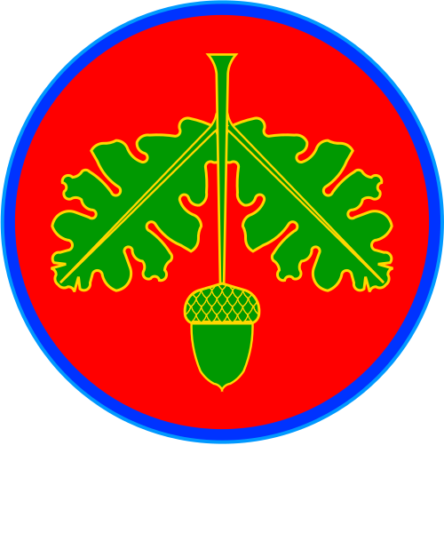 Shield image