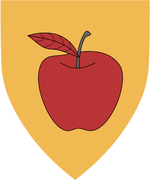 Shield image