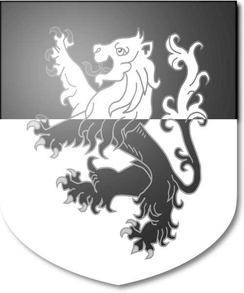 Shield image
