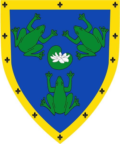 Shield image