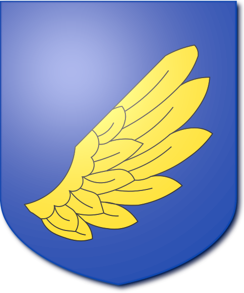 Shield image