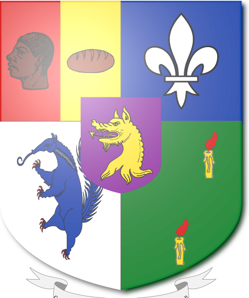 Shield image