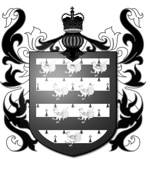 Shield image