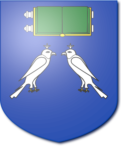 Shield image