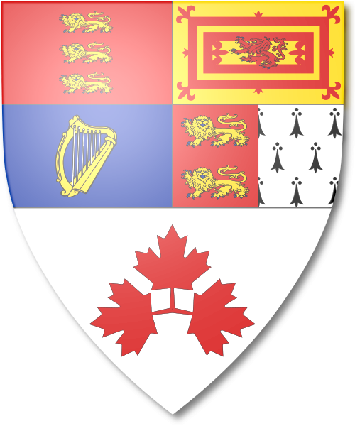 Shield image