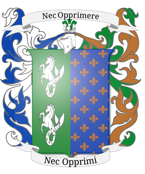 Shield image