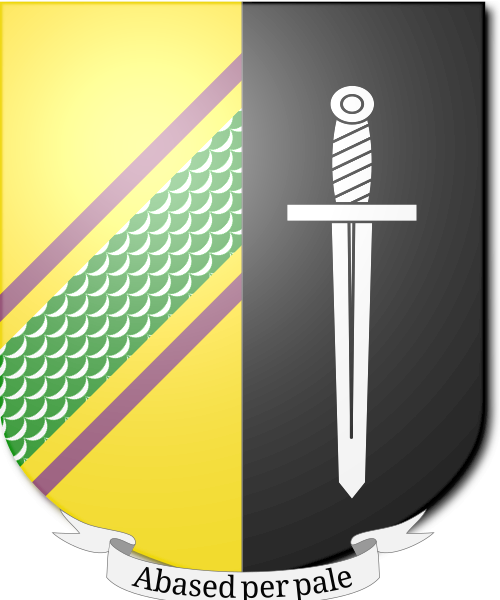 Shield image