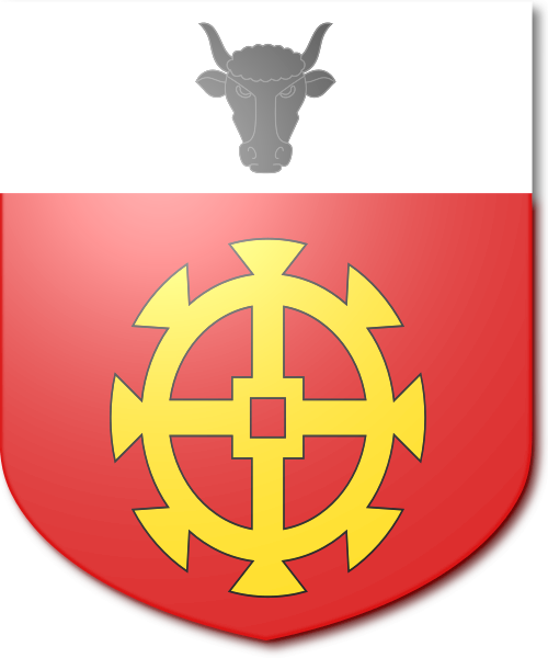 Shield image