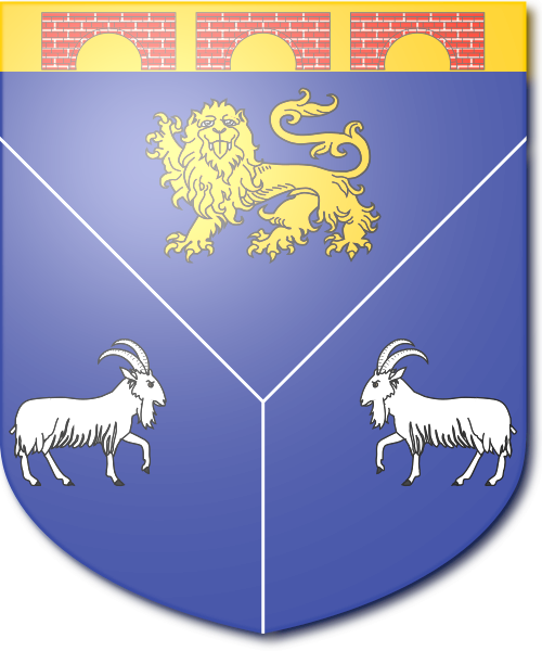 Shield image