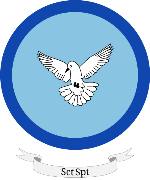 Shield image