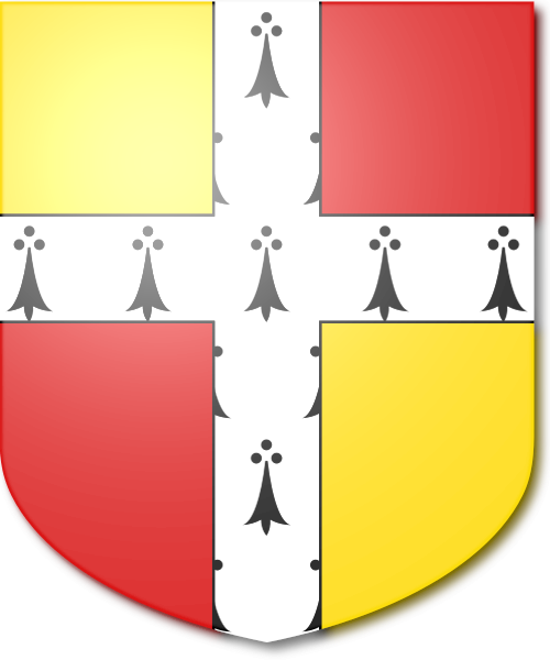 Shield image
