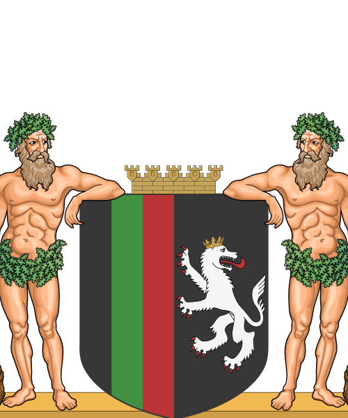Shield image