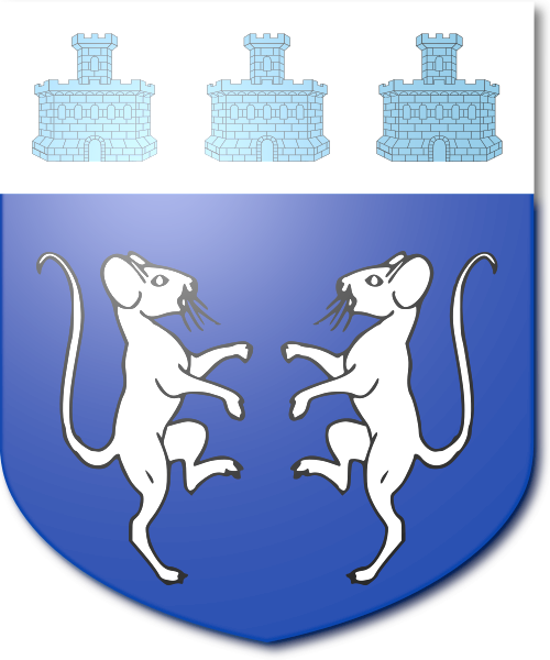 Shield image