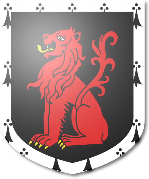 Shield image